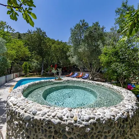 Villa With Pool Surrounded By Nature In Fethiye *